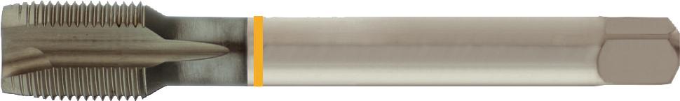 M.Gewindeb. G D5156B HSSEG1" blank FORUM