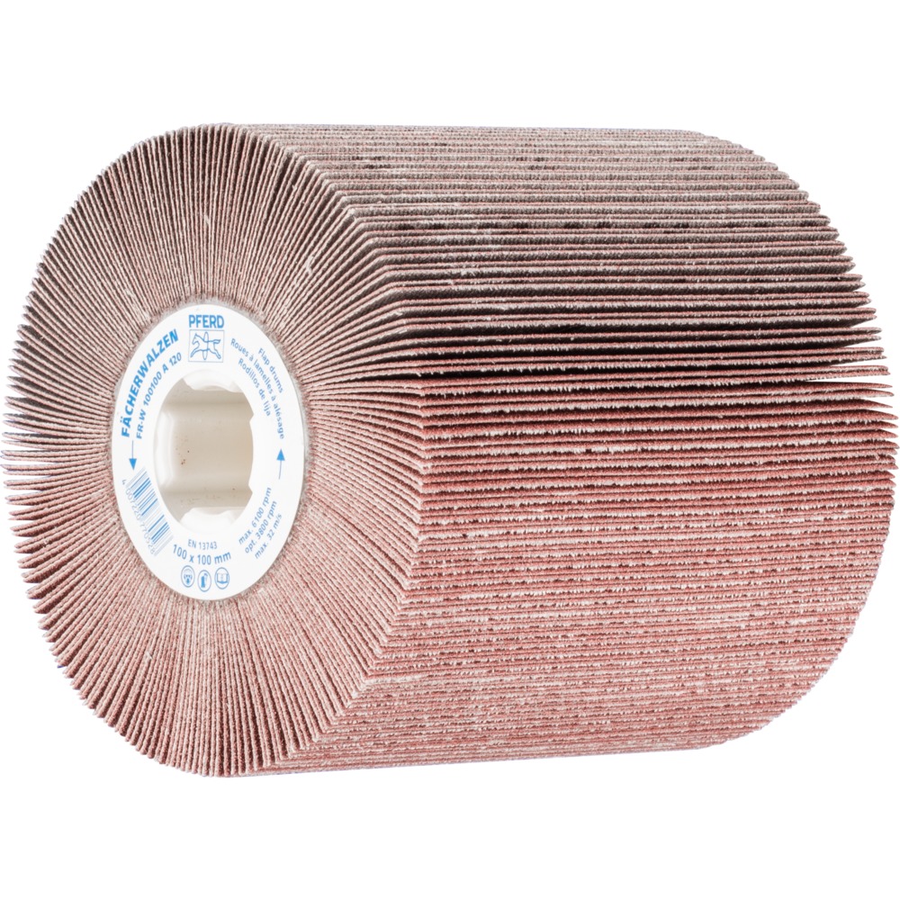 Fächerschleifwerkzeuge FR-W 100100 A 120