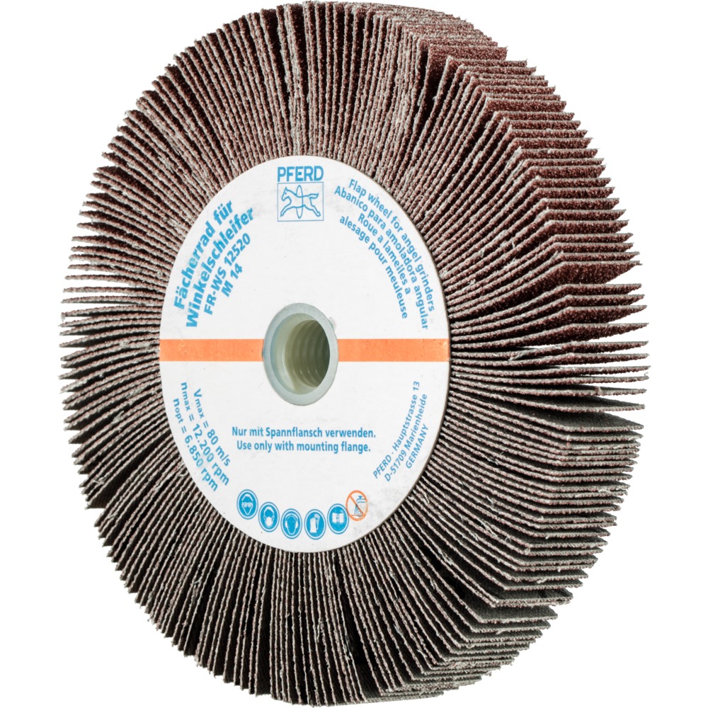 Fächerschleifwerkzeuge FR WS 12520 M14 A 60