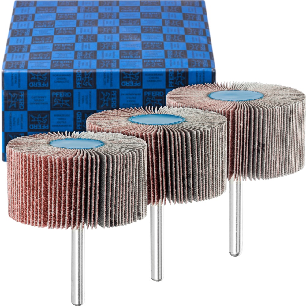 Fächerschleifwerkzeuge SET F 6030/6 A