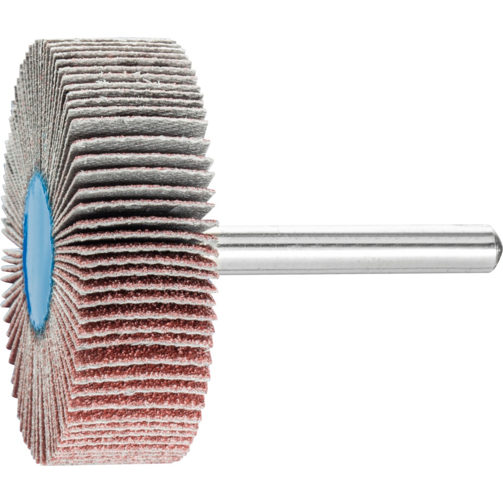 Fächerschleifwerkzeuge F 5015/6 A 80