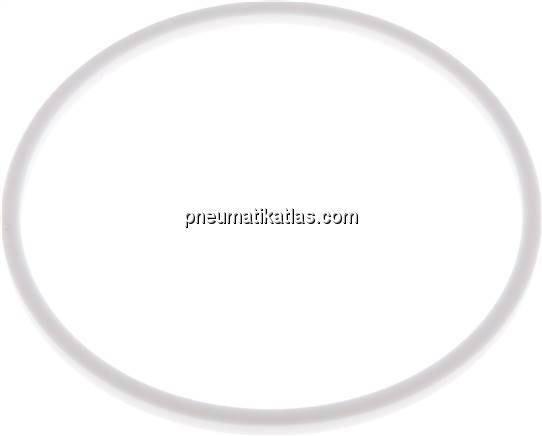 Dichtung (Milchgewinde) DN 150, PTFE (weiß), 155x167x7mm