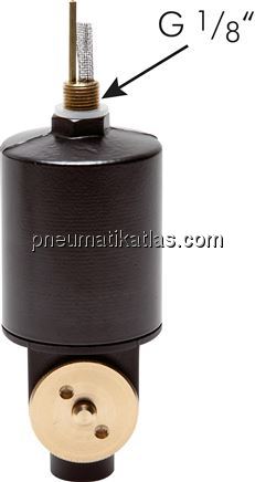 Exemplarische Darstellung: Anbau-Kondensatableiter