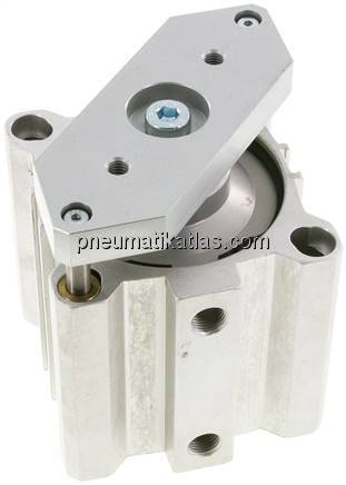 Kurzhubzylinder, verdrehgesichert, 80,Hub 50mm