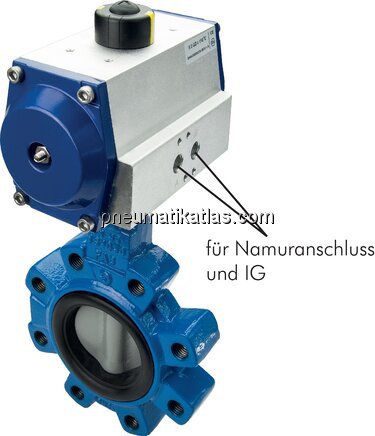 Exemplarische Darstellung: Anflanschklappe (mit In