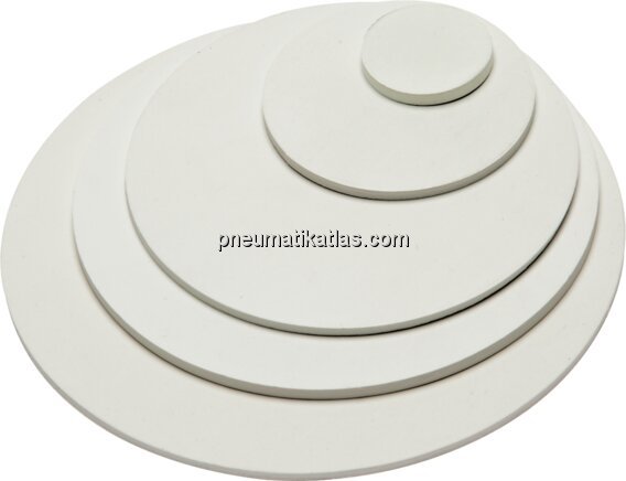 Exemplarische Darstellung: Dichtscheibe für Milchg