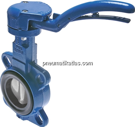 Exemplarische Darstellung: Zwischenflanschklappe