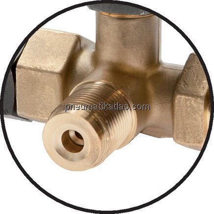 Detailansicht: Manometer-Absperrventil mit Prüfans