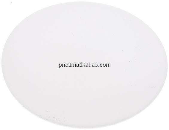Dichtscheibe für Blindmutter DN 65, PTFE (weiß)