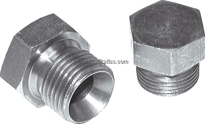 Exemplarische Darstellung: Verschlussverschraubung