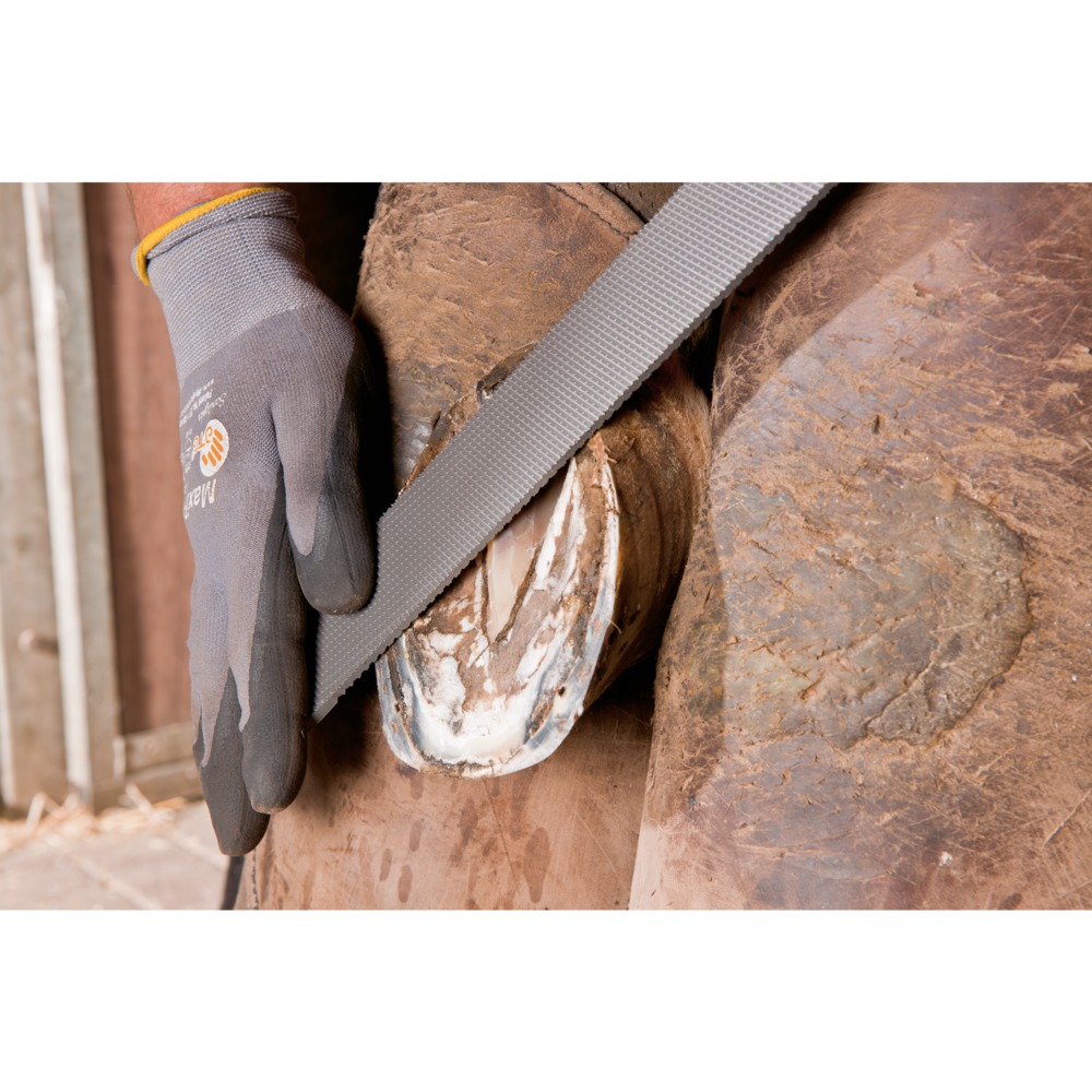 Feilen für Holz und Raspeln 3515 350