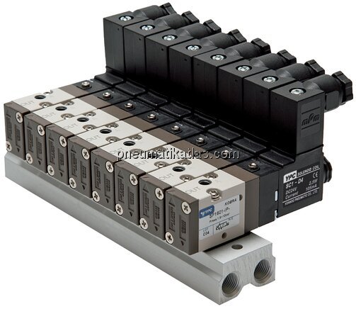 Exemplarische Darstellung: Mehrfachanschlussplatte