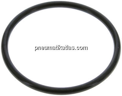 Tankwagenkupplung Dichtung für MK/MB 100, NBR