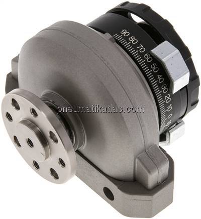 DSRL-25-180-P-FW (30656) Schwenkantrieb