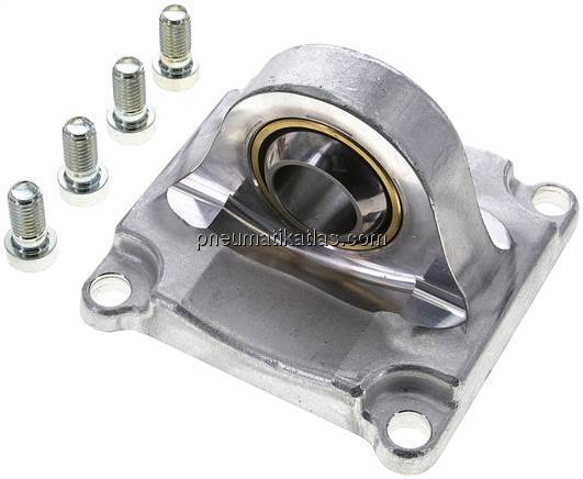 SNCS-125 (174403) Schwenkflansch