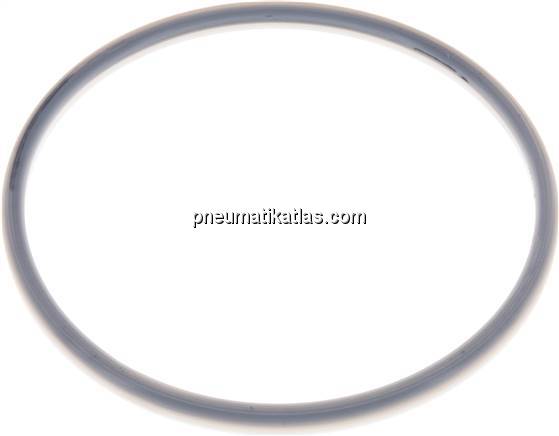 Dichtung (Milchgewinde) DN 125, FKM / PTFE (vollummantelt), 130x142x7mm
