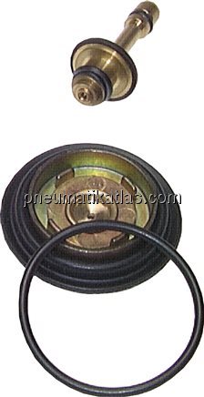 Exemplarische Darstellung: Ersatz-Membrane für Dru