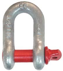 Schäkel gerade 2 1/2Z TK 55t