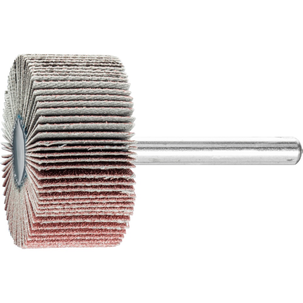 Fächerschleifwerkzeuge F 4020/6 A 120