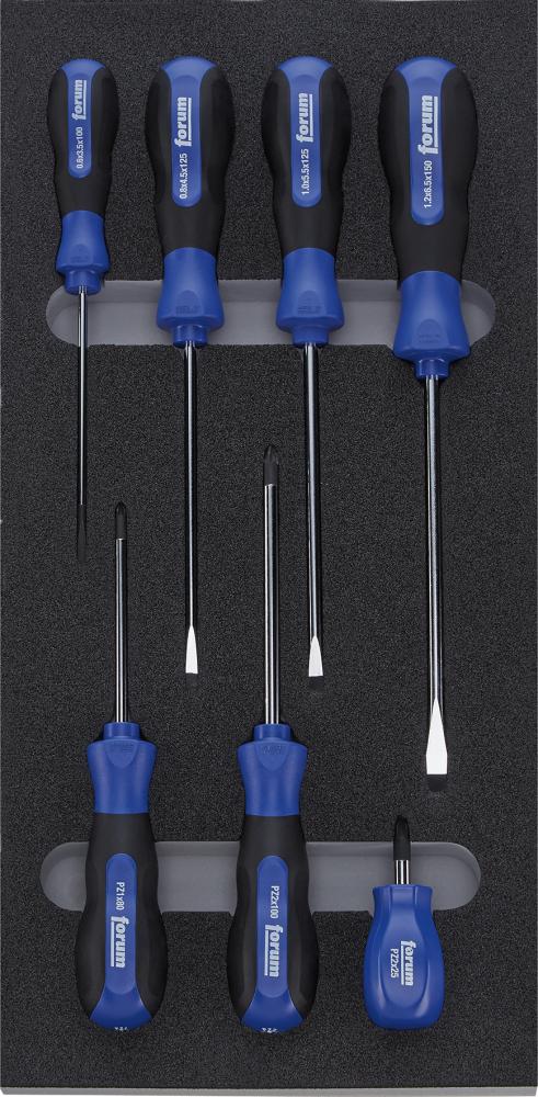 Modul 2017 1/3 Schraubendreher PZ FORUM