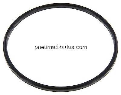 Dichtung (Milchgewinde) DN 150, EPDM (schwarz), 155x167x7mm