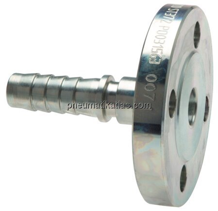 Exemplarische Darstellung: Festflansch, Standard, 