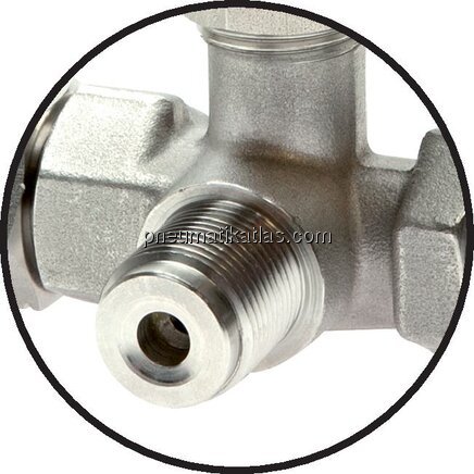 Detailansicht: Manometer-Absperrventil mit Prüfans