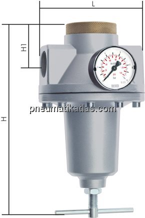 Exemplarische Darstellung: Druckregler - Standard,