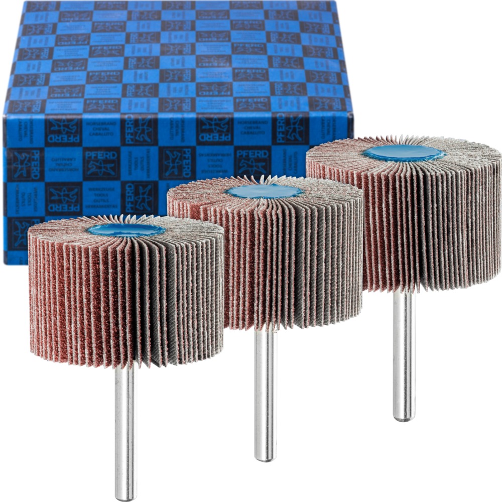 Fächerschleifwerkzeuge SET F 5030/6 A