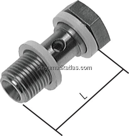 Exemplarische Darstellung: Edelstahl-Hohlschraube 