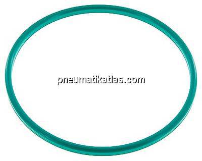 Dichtung (Milchgewinde) DN 150, FKM (grün), 155x167x7mm
