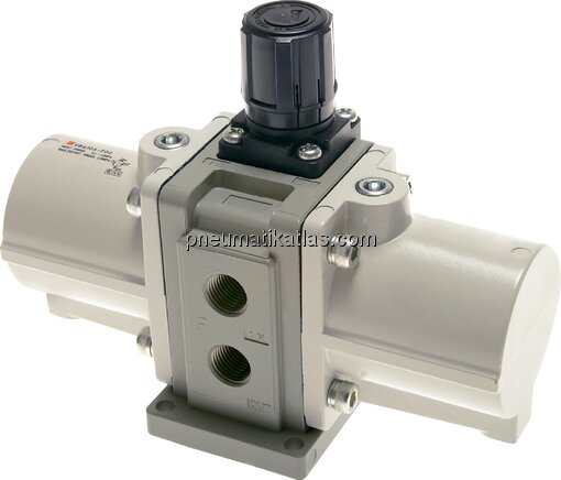 Exemplarische Darstellung: Druckübersetzer, Typ DU