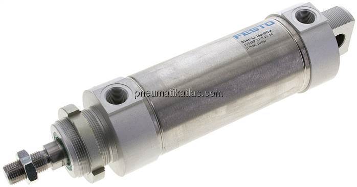 DSNU-63-100-PPS-A (559329) Rundzylinder