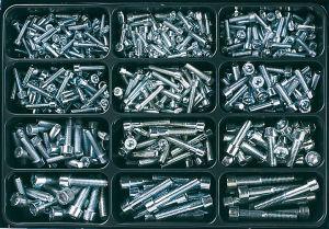 E-NORM Montagekoffer 29 DIN 912 8.8 verzinkt E-NORMpro