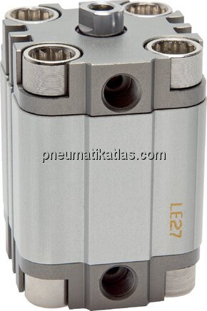 Exemplarische Darstellung: Kompaktzylinder, doppel