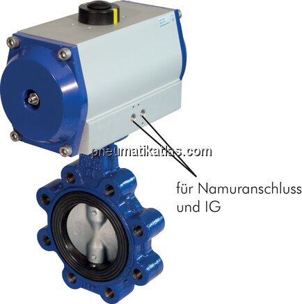 Exemplarische Darstellung: Anflanschklappe (mit In