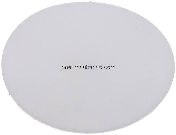 Dichtscheibe für Blindmutter DN 50, PTFE (weiß)