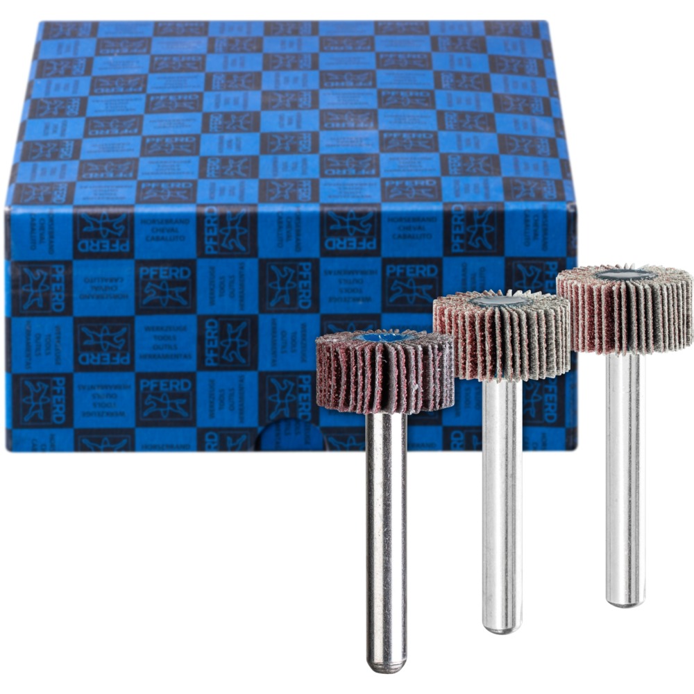 Fächerschleifwerkzeuge SET F 2010/6 A