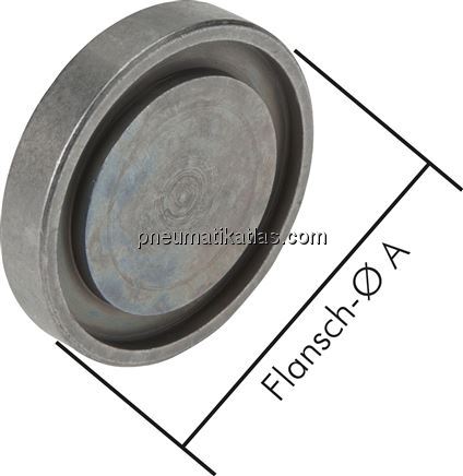 Exemplarische Darstellung: SAE-Blindplatte, Stahl 