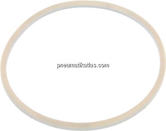 Dichtung (Milchgewinde) DN 150, Silikon (natur), 155x167x7mm