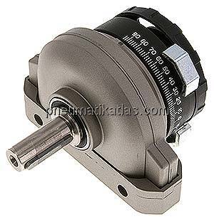 DSR-32-180-P (11912) Schwenkantrieb