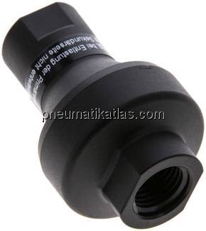 Inline Druckregler (Wasser) G 1/4", 5,0 bar