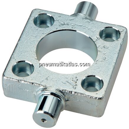 Exemplarische Darstellung: Flansch-Schwenkbefestig