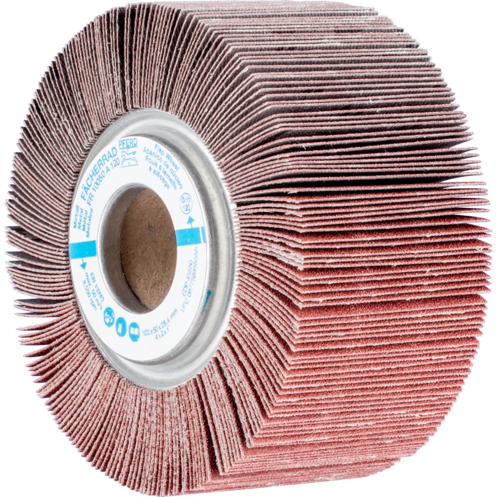 Fächerschleifwerkzeuge FR 10050/25,4 A 120