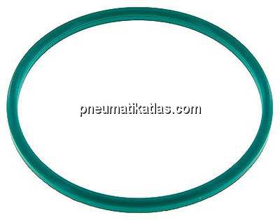 Dichtung (Milchgewinde) DN 125, FKM (grün), 130x142x7mm