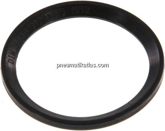 Profildichtung f.Schneidringverschr. M 22x1,5,NBR