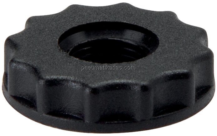 Exemplarische Darstellung: Rändelmutter für Magnet