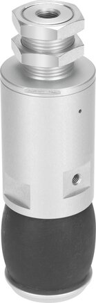 Exemplarische Darstellung: %1