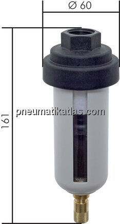 Exemplarische Darstellung: Kondensatableiter, auto