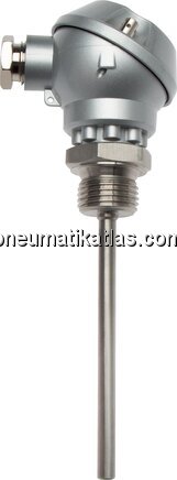 Exemplarische Darstellung: Widerstandsthermometer 